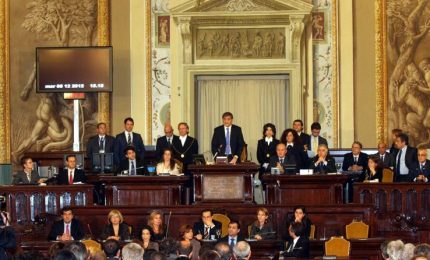 A Palermo un convegno sul "Randagismo politico"? No, era sul randagismo dei cani