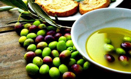 IGP olio d'oliva siciliana: per favore basta con l'enfasi e le bugie!