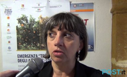 Cronache dalle colonie extramondo: da 'Rosa' Barresi a Cracolici passando per Cuffaro