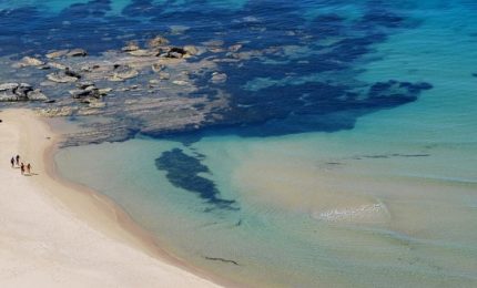 Vanadia: "Il Resort di Torre Salsa? Va realizzato al di fuori del Sito d'Interesse Comunitario"