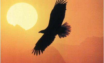 Pensierino della sera/ Dedicato a chi si prepara …