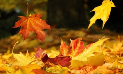 Pensierino della sera/ Dedicato a chi … se ne accorgerà il prossimo autunno