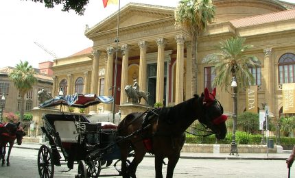 Palermo, l'ultima dell'assessore Catania: niente carrozze e cavalli dai Quattro Canti alla Cattedrale