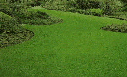 Pensierino della sera/ Dedicato a chi, contentandosi, non gode