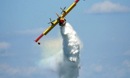 Gli incendi in Sicilia, i forestali e il mangia-mangia di fondi pubblici per l'emergenza