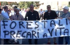 Forestali: con la riforma arriva l'agenzia per fare quello che faceva l'Azienda Foreste