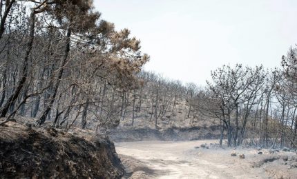 L'incendio di Pantelleria: oltre ai 'piromani' non ci sono responsabilità amministrative?