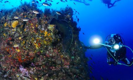 Torna ad Ustica la rassegna internazionale delle attività subacque