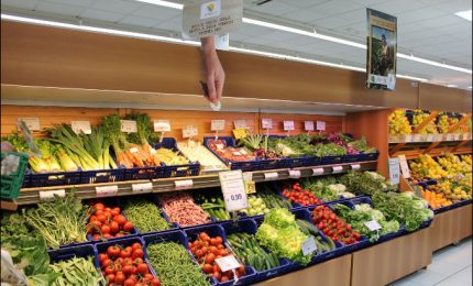 Prodotti agricoli dannosi per la salute: la Regione siciliana ha il potere per bloccarli