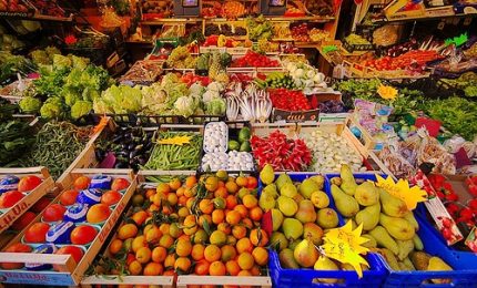 Follie di Sicilia: prima regione italiana per agricoltura biologica, ma invasa da ortofrutta cinese e nord-africana piena di pesticidi!
