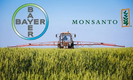 La Bayer acquista la Monsanto: OGM in Europa? E quali saranno gli effetti sull'agricoltura del Sud Italia?