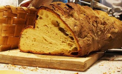 Pane di Matera, pane di Altamura e pane nero di Castelvetrano: basta con i grani duri delle navi!