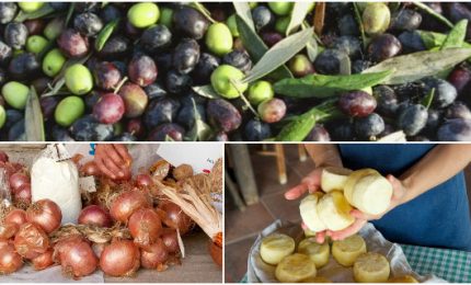 Tra Slow Food e Coldiretti un 'matrimonio senza amore': e silenzio... sulle micotossine