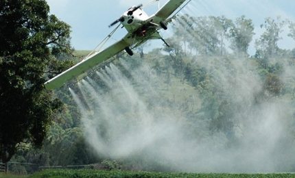 L'inchiesta da 'Le Iene' sul glifosato: e meno male che noi scrivevamo bufale ed eravamo dei visionari...