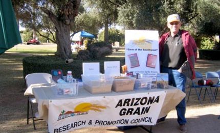 Agricoltura, l'ultima del Governo Renzi: grano duro americano al posto di quello pugliese e siciliano!