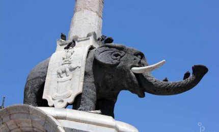 Università di Catania & potere: il sì di Renzi al rettore Pignataro