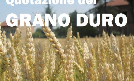I prezzi del grano duro: la grande truffa a danno degli agricoltori del Sud Italia (pugliesi e siciliani in testa)