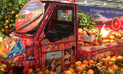 Coldiretti colpisce ancora: il problema ora sono i fruttivendoli abusivi...