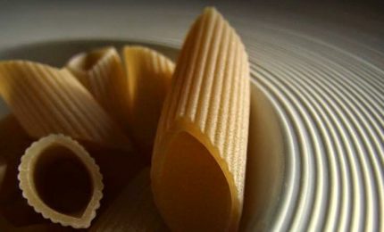 GranoSalus all'attacco: "L'industria della pasta condiziona il mercato di Foggia e tiene basso il prezzo del grano duro"