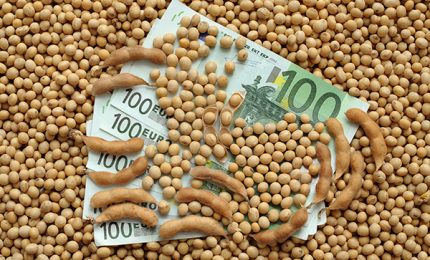 Danni all'agricoltura siciliana? Certo. Ma i 15 miliardi di Euro di fondi europei a cosa sono serviti?