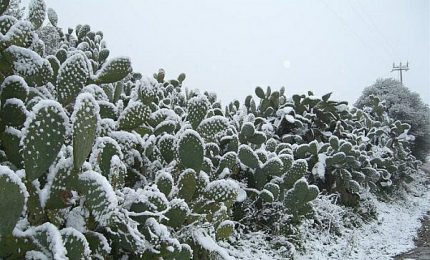 Freddo e neve in Sicilia: ognuno si arrangi come pu&ograve;. E a Palermo i senza tetto...