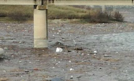 Scandalosa Bivona: l'acqua inquinata della Diga Castello finisce nei campi. Agricoltura biologica 'condita'?