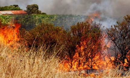Tagli agli operai del Servizio antincendio del Corpo forestale. E' vero o è una sceneggiata elettorale?