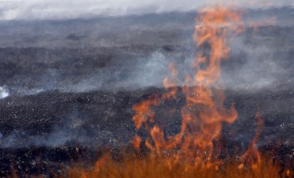 Regione siciliana: il centrosinistra sa di perdere le elezioni e sta facendo terra bruciata al 'nemico' che avanza