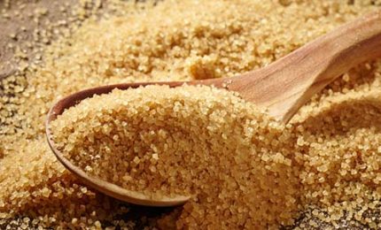 Il glifosato non ha risparmiato i pesci. E c'è chi s'interroga anche sullo zucchero di canna