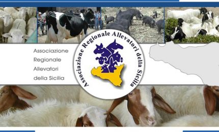 La denuncia: "L'ARAS &egrave; fallita per la mala gestione"