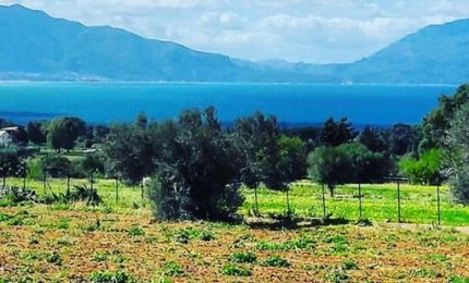 A Terrasini una stazione di rifiuti tra due Sic ed una Riserva naturale: "Uno scempio da bloccare"