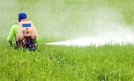 Glifosato per diserbare i cigli delle strade siciliane? Interrogazione di Pino Apprendi al Governo regionale