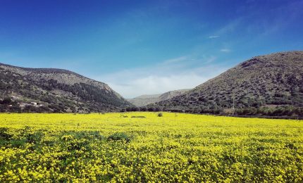 Terrasini, &ldquo;stazione di rifiuti&rdquo;: un documento denuncia gravi irregolarit&agrave;