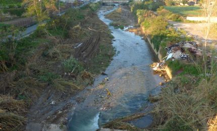 La 'bonifica' del fiume Oreto ha prodotto un pastrocchio: sradicati alberi dove nidificavano uccelli