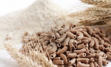 L'accusa di GranoSalus: Slow Food si occupa del glifosato, ma ignora le micotossine DON del grano