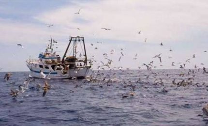 La pesca in Sicilia: soldi per tutti, tranne che per pescatori e armatori