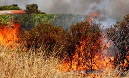 Gli incendi in Sicilia: tutto previsto, proprio per questo &egrave; stata bandita la prevenzione...