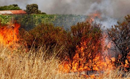 Gli incendi in Sicilia: tutto previsto, proprio per questo è stata bandita la prevenzione...