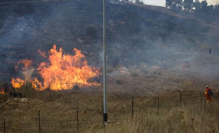 Gli incendi, complice il caldo, hanno già colpito. Che fine ha fatto l'antincendio della Forestale?