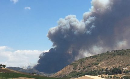 Incredibile ma vero: brucia anche il secolare bosco di querce da sughero Angimbé!