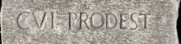 Pensierino della sera/ Dedicato a chi indaga