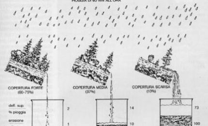 Gli effetti degli incendi: erosione del suolo, instabilità dei pendii e tanti animali morti