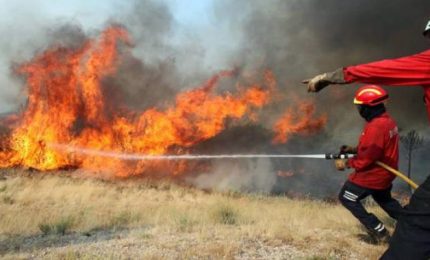 Gli incendi nella Riserva dello Zingaro, un 'mistero' che va avanti da trent'anni