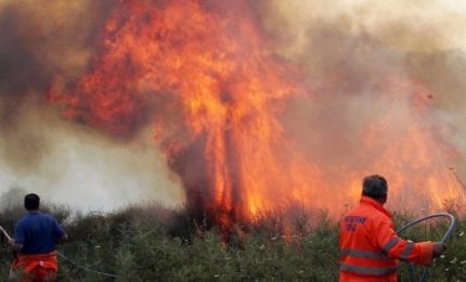 Incendi in Sicilia: il segretario dei Forestali, Grosso, sfida Cracolici in un confronto in Tv