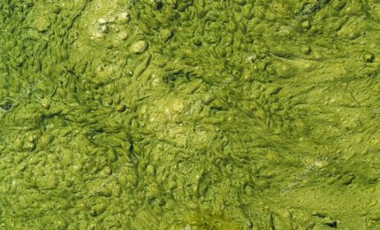 Beppe De Santis: "Cominciamo un 'lungo viaggio' tra la 'feccia' della politica siciliana"