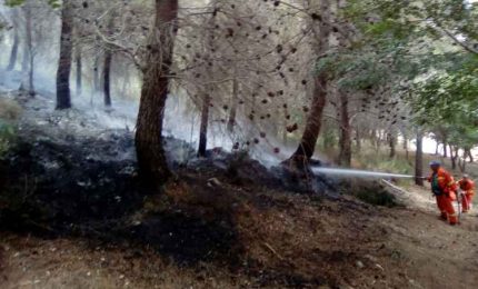In fiamme il bosco di Casaboli: 200 operai della Forestale hanno perso il posto di lavoro