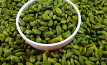 I pistacchi di Raffadali, nell'Agrigentino: storia di una tradizione millenaria (e un VIDEO))