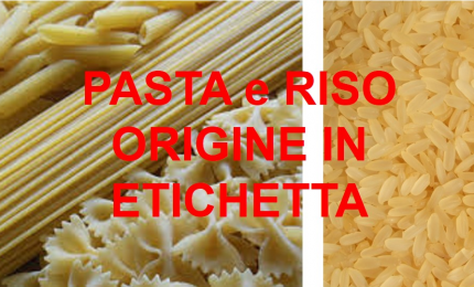 Grano duro/ ll TAR Lazio dà torto agli industriali: il Decreto sull'etichettatura della pasta resta