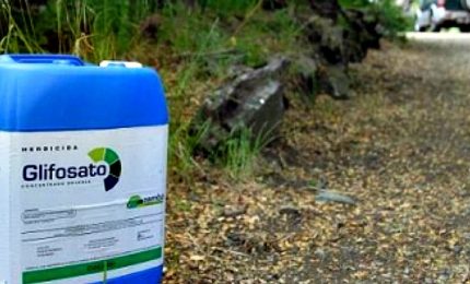 La UE ha deciso: per altri cinque anni ci avveleneranno con il glifosato