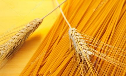 Ecco otto marche di spaghetti 'Bio' che non contengono glifosato